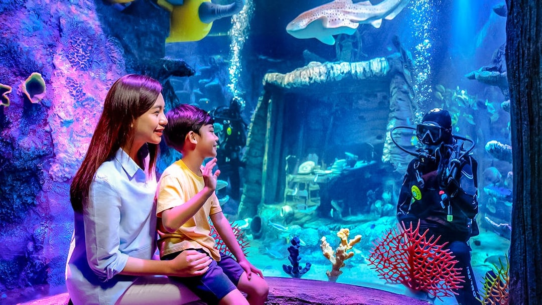 Family watching diver in shipwreck scene at Sea Life Aquarium, Legoland Malaysia.