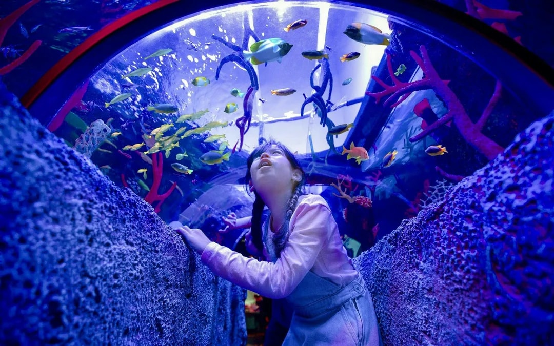 LEGOLAND® Malaysia SEA LIFE Image 1