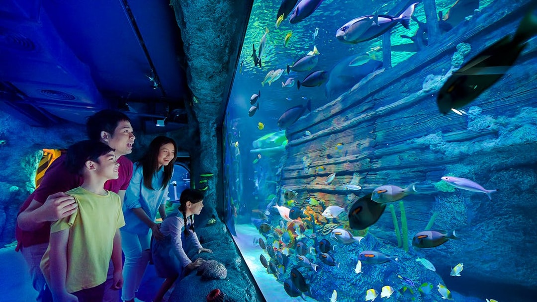 Family exploring shipwreck exhibit at Sea Life Aquarium, Legoland Malaysia.