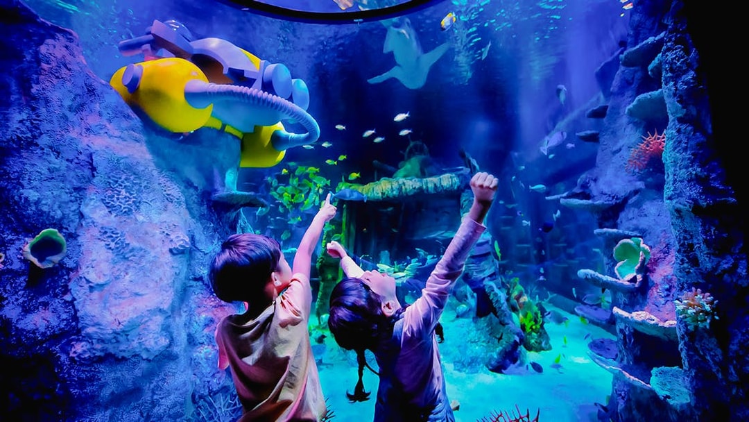 Children exploring underwater scene at Sea Life Aquarium, Legoland Malaysia.