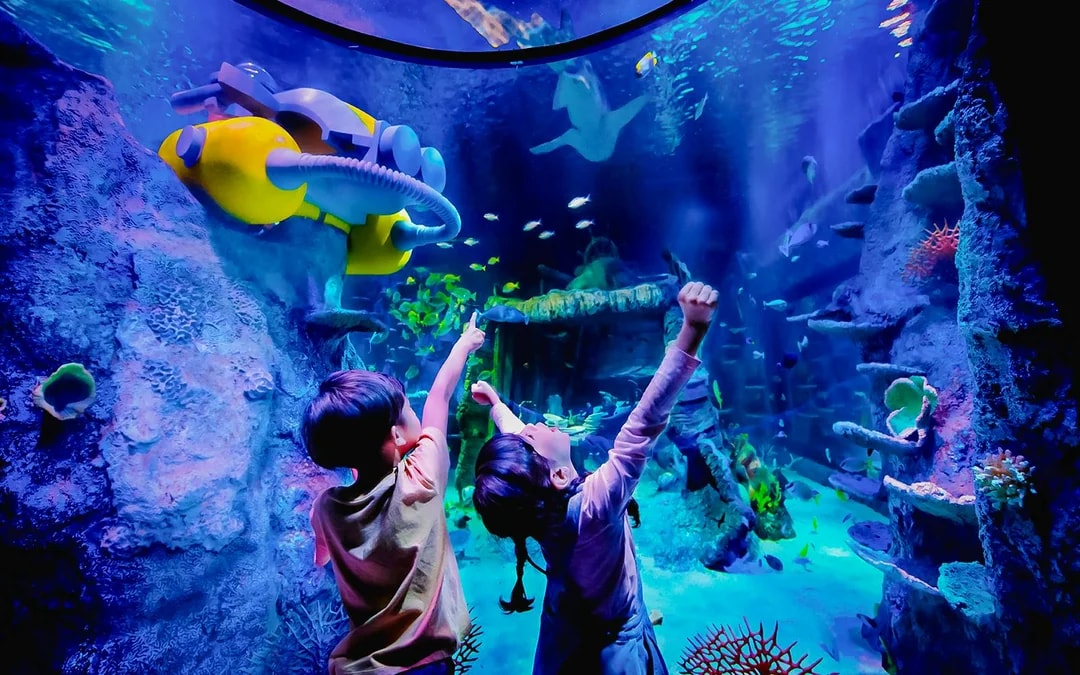 LEGOLAND® Malaysia Admission Ticket + Round Trip transfers from Singapore Image 10