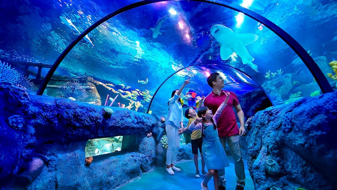 Family exploring ocean tunnel at Sea Life Aquarium, Legoland Malaysia.