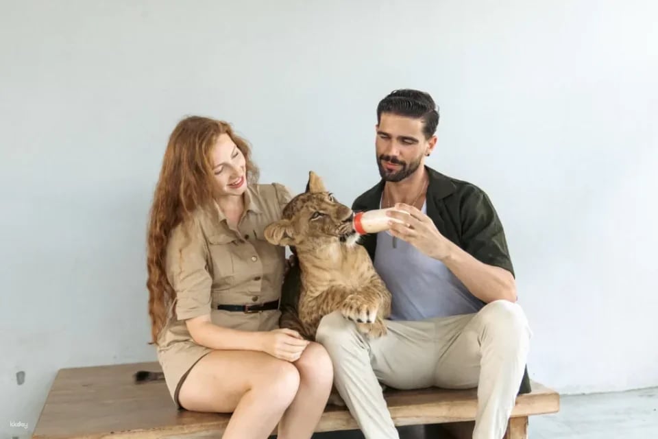 Lion Land Phuket Admission Ticket | Thailand