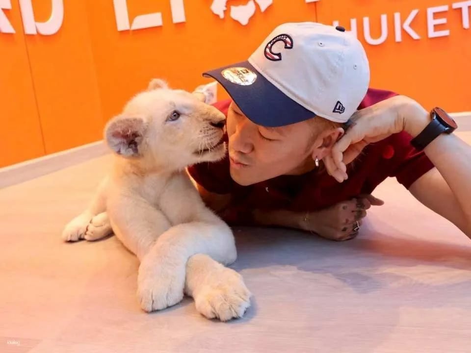 Lion Land Phuket Admission Ticket | Thailand