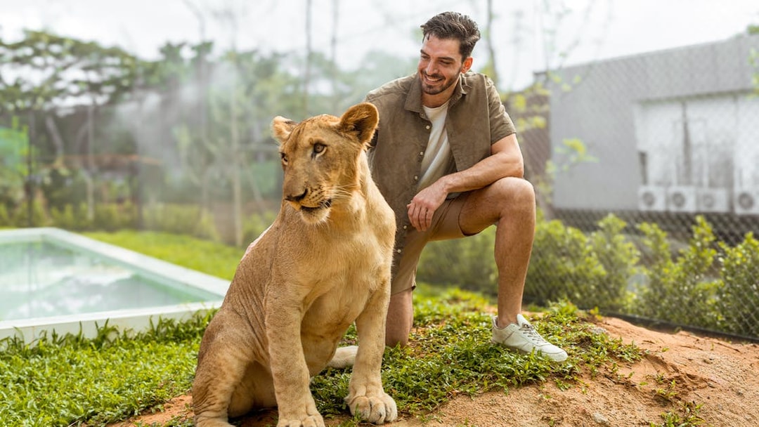Man interacting with a lion at Lion Land Phuket.