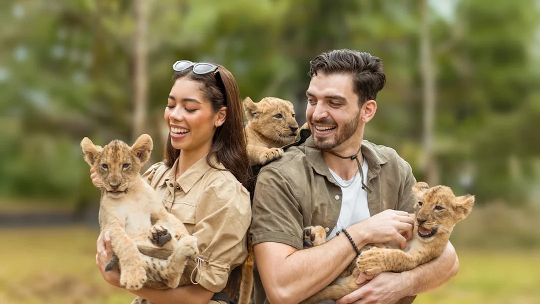 Visitors holding lion cubs at Lion Land Phuket.