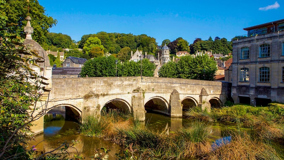 Historic bridge over river in Bath, England, surrounded by greenery and historic buildings.