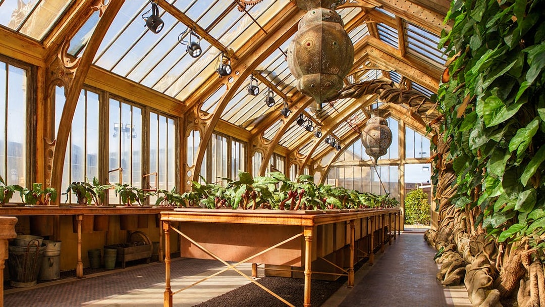 Professor Sprout's greenhouse with magical plants at Harry Potter London tour.