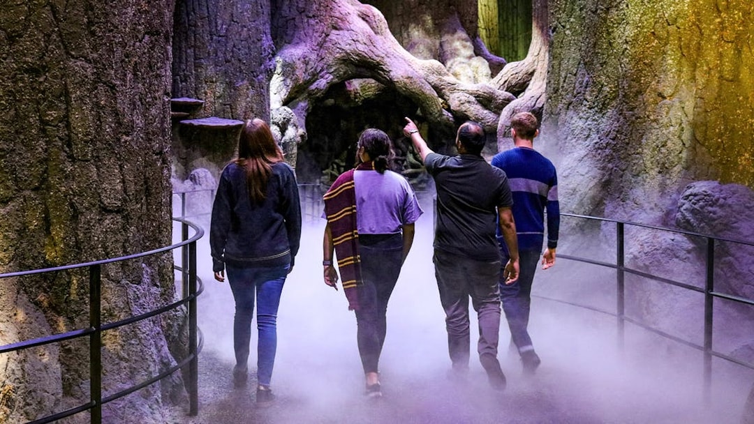 Visitors walking through the Forbidden Forest set at Warner Bros. Studio London.