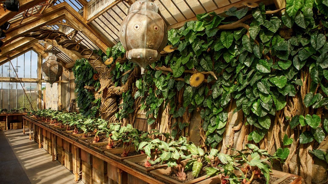 Greenhouse with magical plants at The Making of Harry Potter tour.