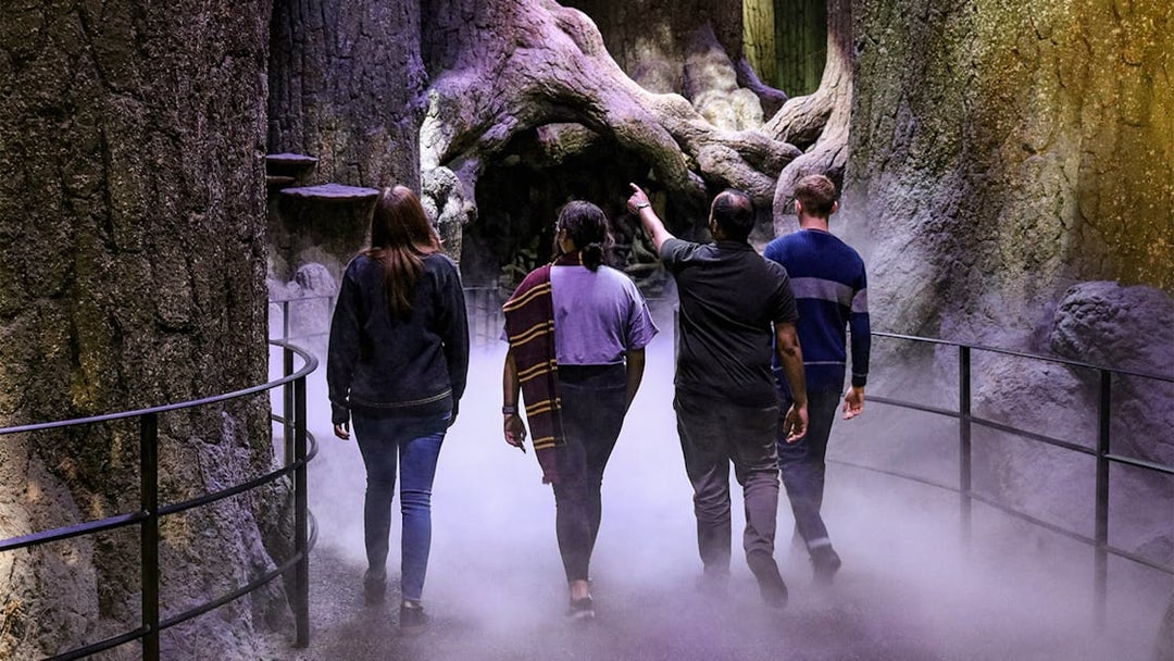 Visitors walking through the Forbidden Forest at Warner Bros. Harry Potter Studio Tour.