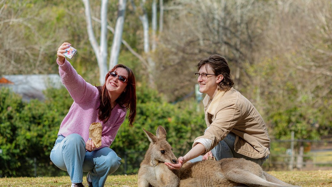Tourists taking a selfie with a kangaroo at Lone Pine Koala Sanctuary.