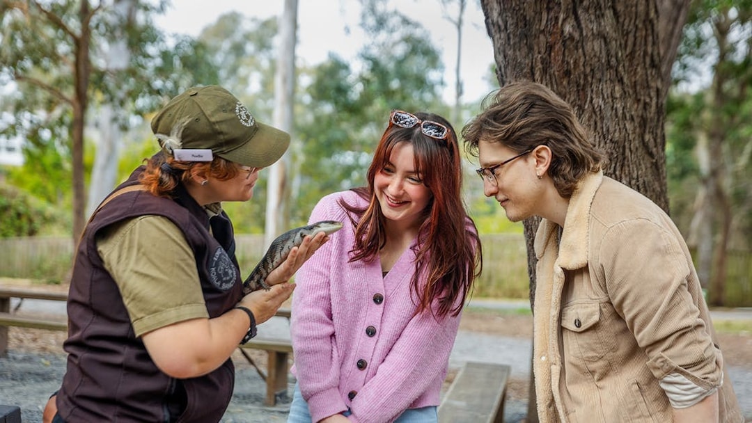 Tourists interacting with a guide holding a reptile at Lone Pine Koala Sanctuary.