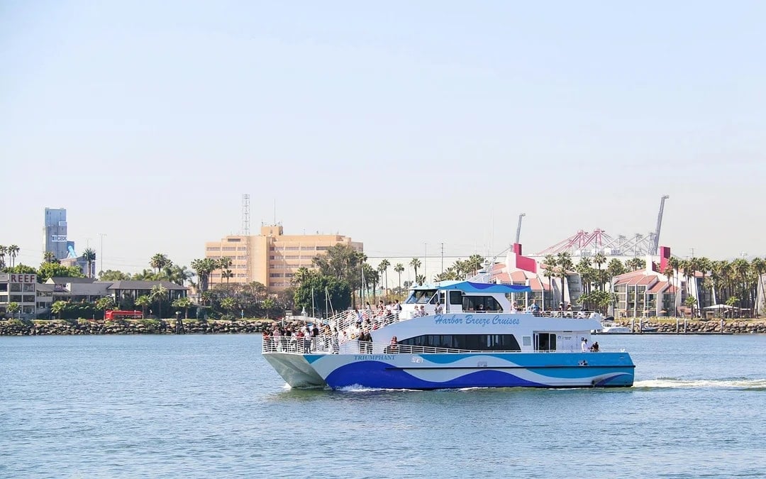 Long Beach Whale Watching and Dolphin Tour Image 1