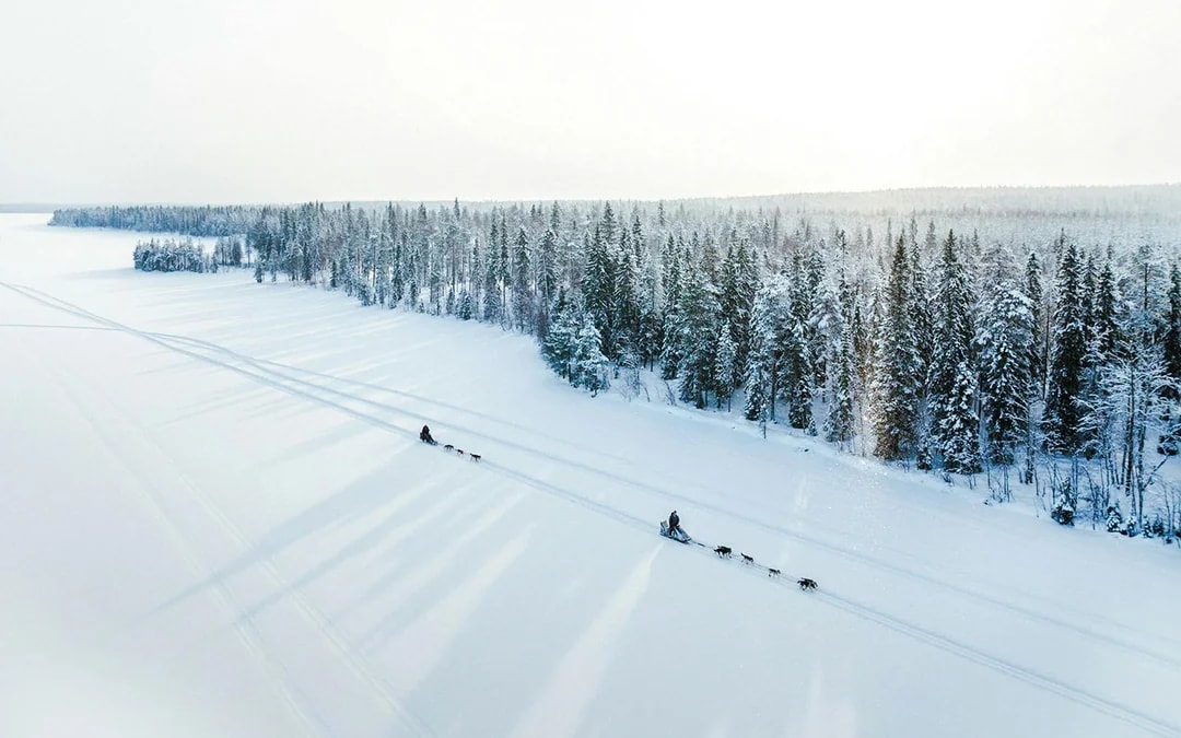 Long Self-Driven Husky Sleigh Ride Image 6