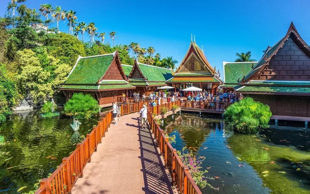 Loro Parque Entry Tickets Image 11