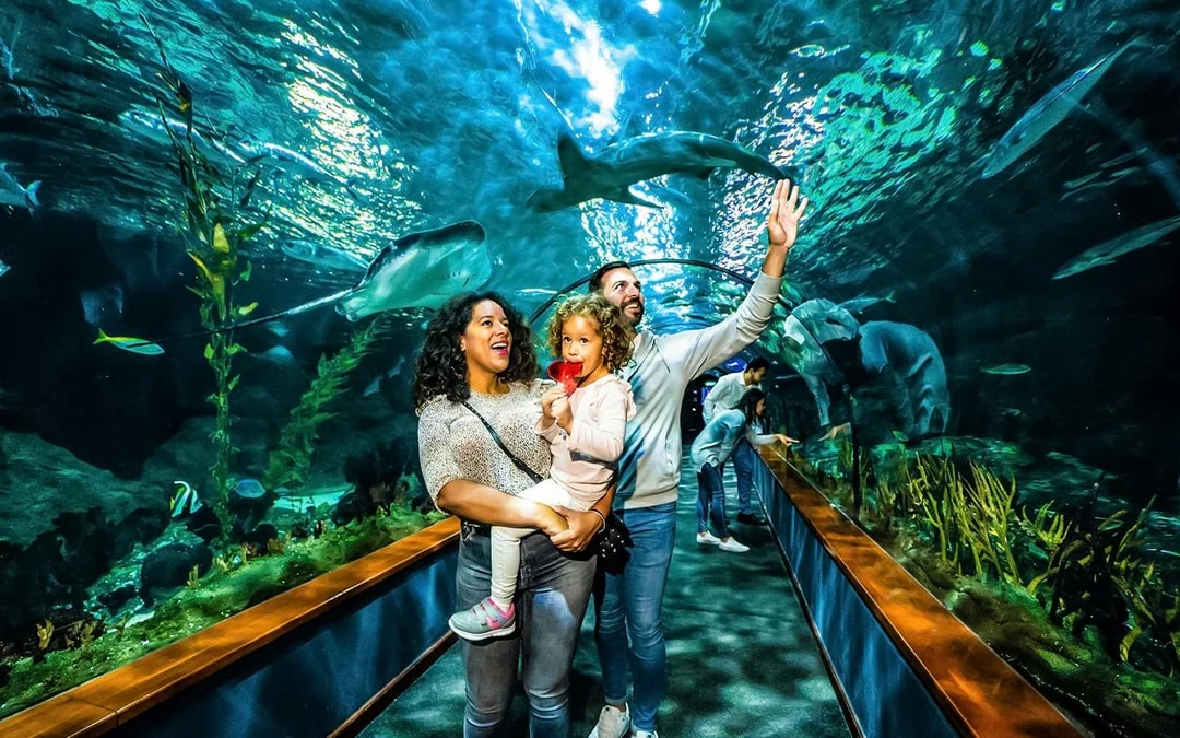 Family enjoying the aquarium tunnel at Loro Park, Tenerife.