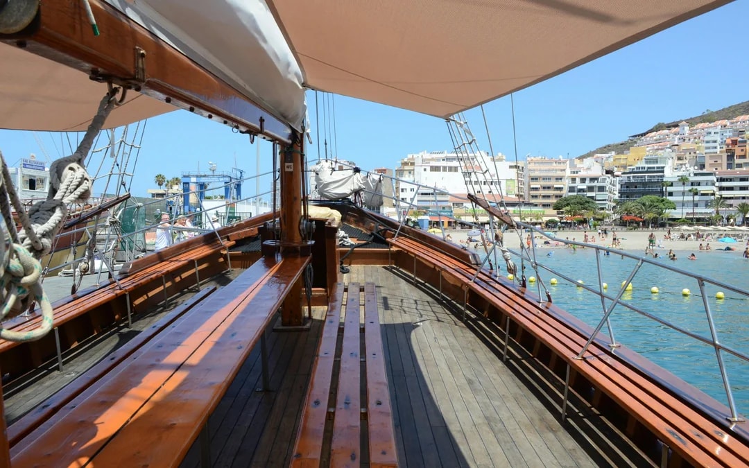 Los Cristianos: Whale and Dolphin Watching Cruise with Optional Pirate Themed Boat Image 11