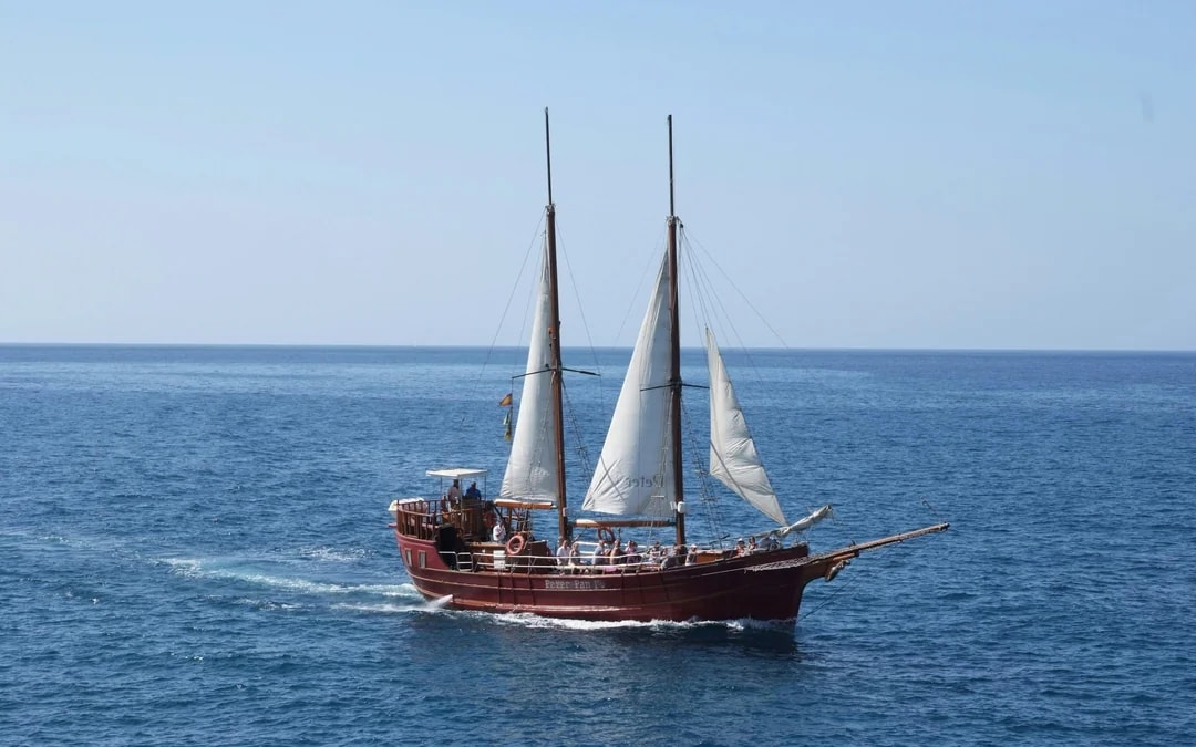 Los Cristianos: Whale and Dolphin Watching Cruise with Optional Pirate Themed Boat Image 12