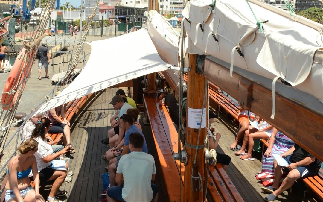 Los Cristianos: Whale and Dolphin Watching Cruise with Optional Pirate Themed Boat Image 8