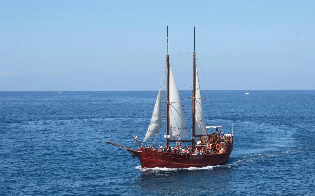 Los Cristianos: Whale and Dolphin Watching Cruise with Optional Pirate Themed Boat Image 9