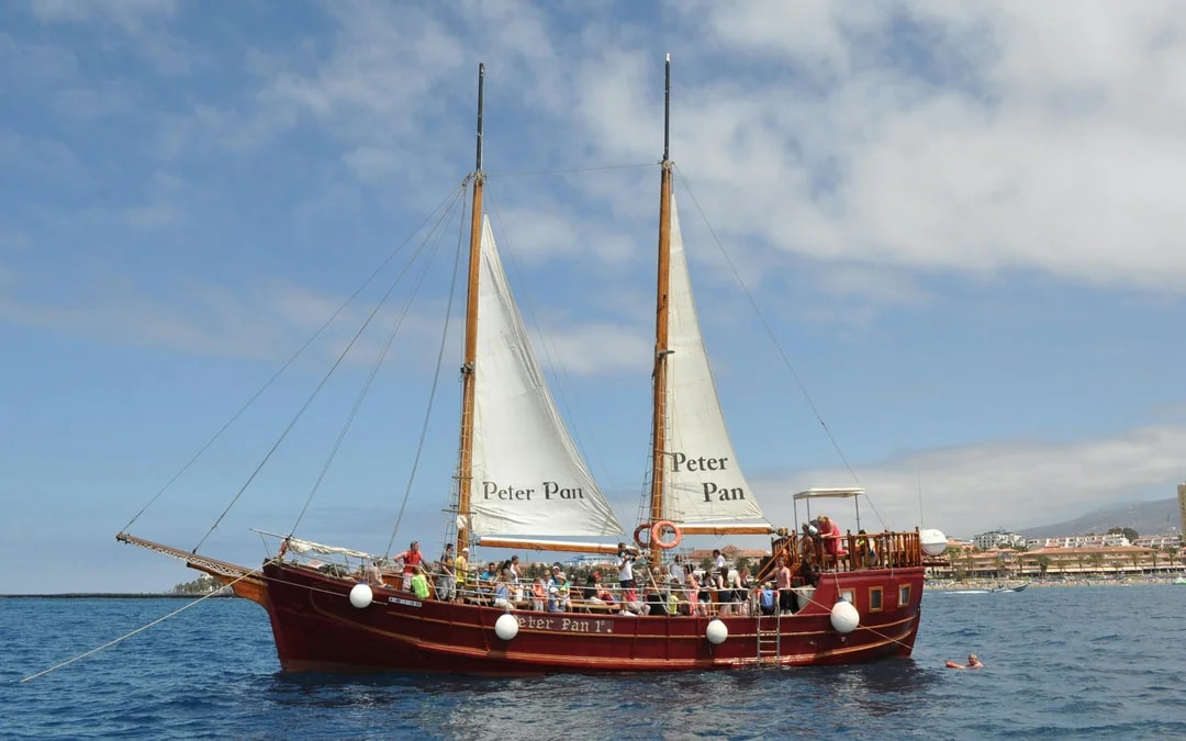 Los Cristianos: Whale and Dolphin Watching Cruise with Optional Pirate Themed Boat Image 10
