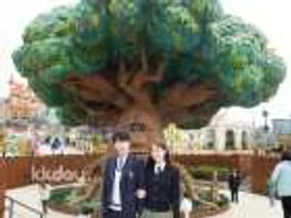 Lotte World Adventure Busan Ticket