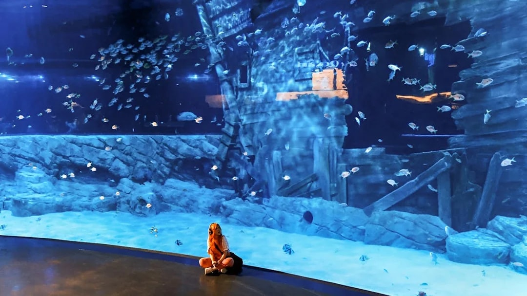 Visitor observing fish in Lotte World Aquarium Hanoi with shipwreck backdrop.