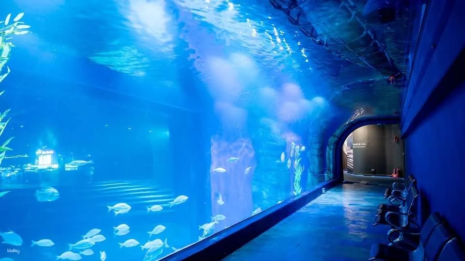 Hanoi, Vietnam | Lotte World Aquarium | Weekday/Holiday Tickets