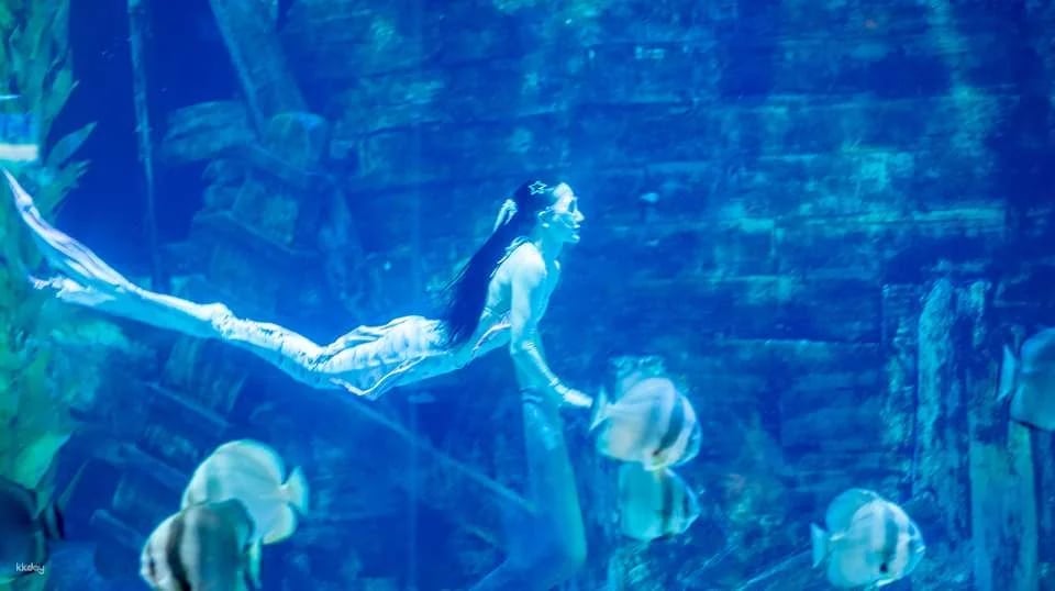 Hanoi, Vietnam | Lotte World Aquarium | Weekday/Holiday Tickets