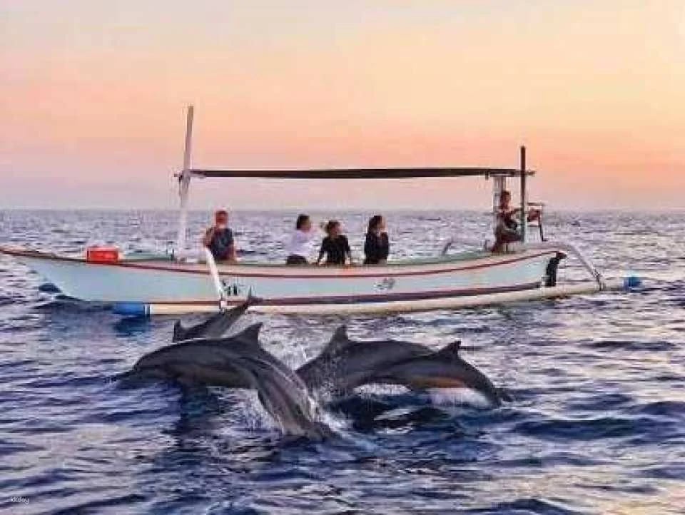 Lovina Dolphin Watching & Ocean Discovery | Bali
