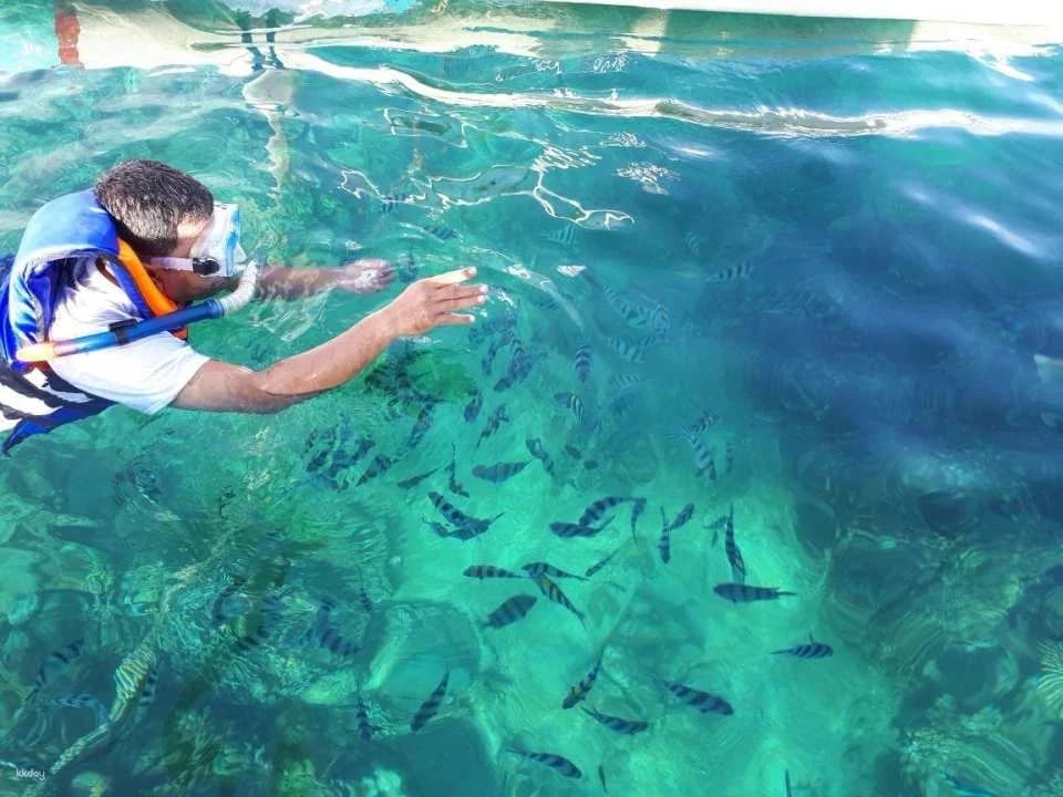 Lovina Dolphin Watching & Ocean Discovery | Bali