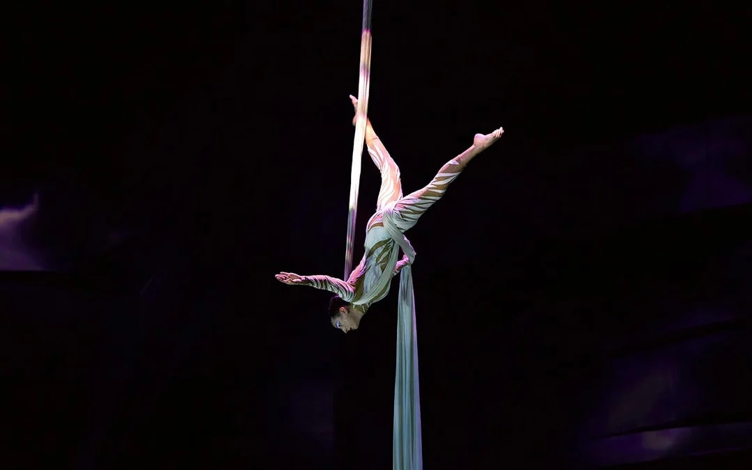 Luxury Dubai Canal Dinner Cruise with La Perle Show Gold Pass Image 8