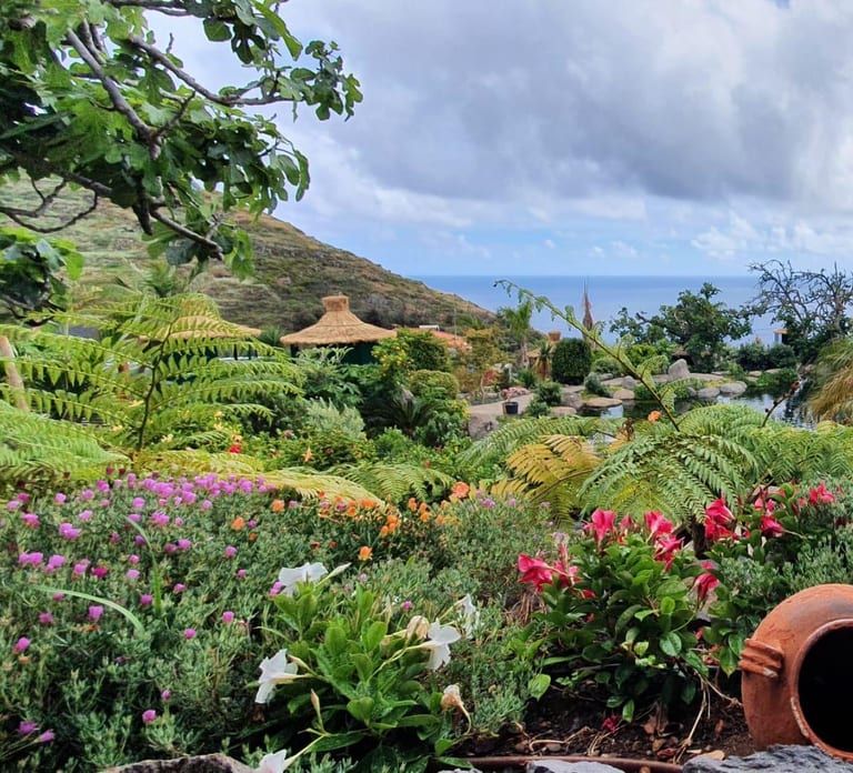 Visit to Madeira Bird Island