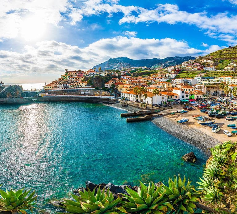 Madeira: Private Tour for Cruise Ship Passengers