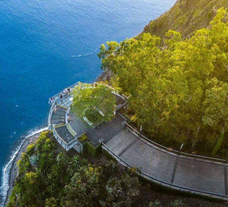 Madeira: Private Tour for Cruise Ship Passengers