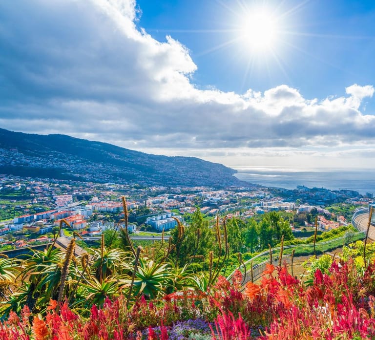 Madeira: Private Tour for Cruise Ship Passengers