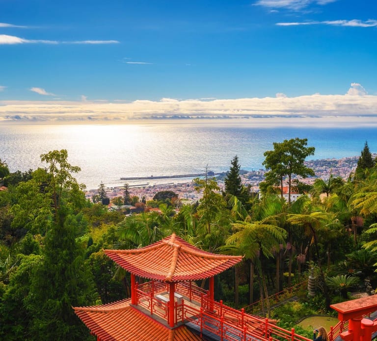Madeira: Private Tour for Cruise Ship Passengers