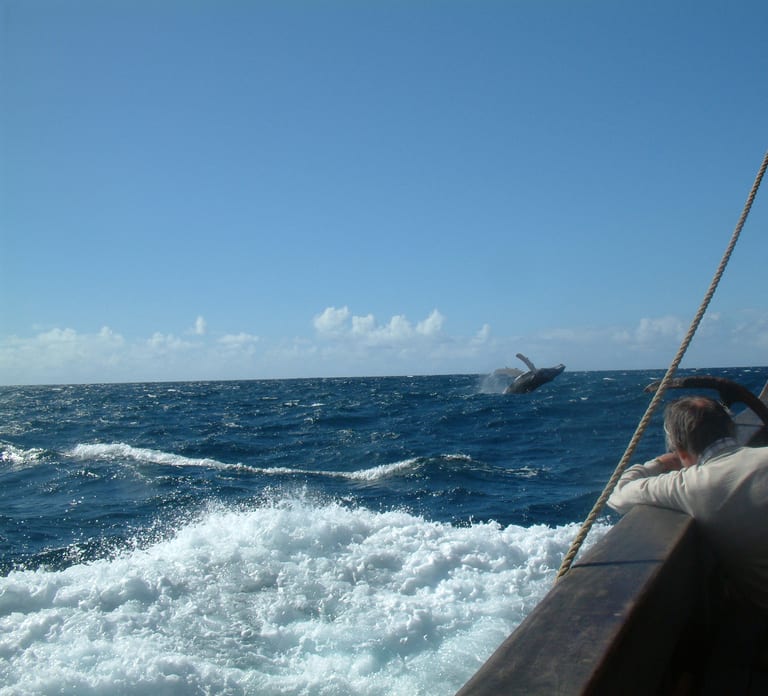 Madeira: Flag Ship Tour aboard Santa Maria de Colombo