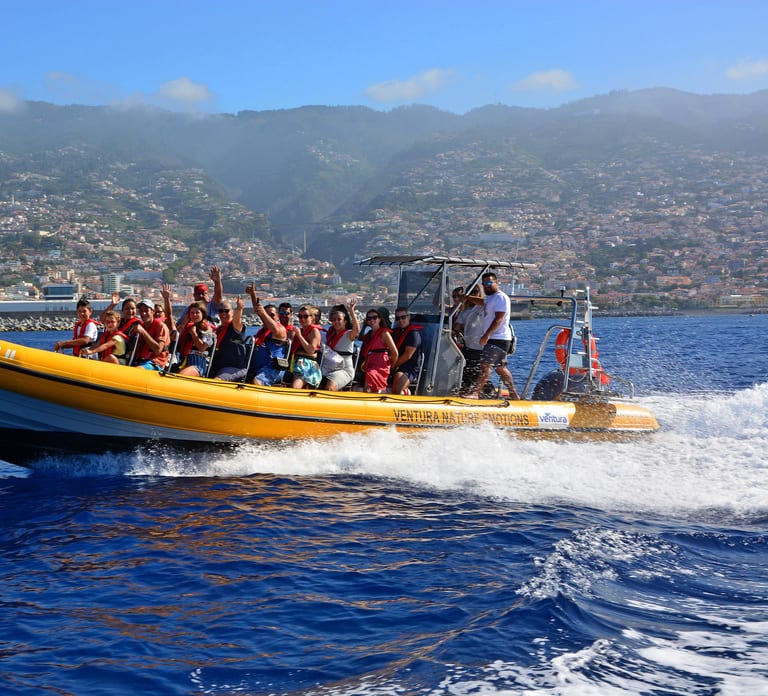 Funchal: Whale and Dolphin Watching Speed Boat Tour