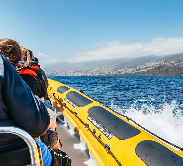 Funchal: Whale and Dolphin Watching Speed Boat Tour