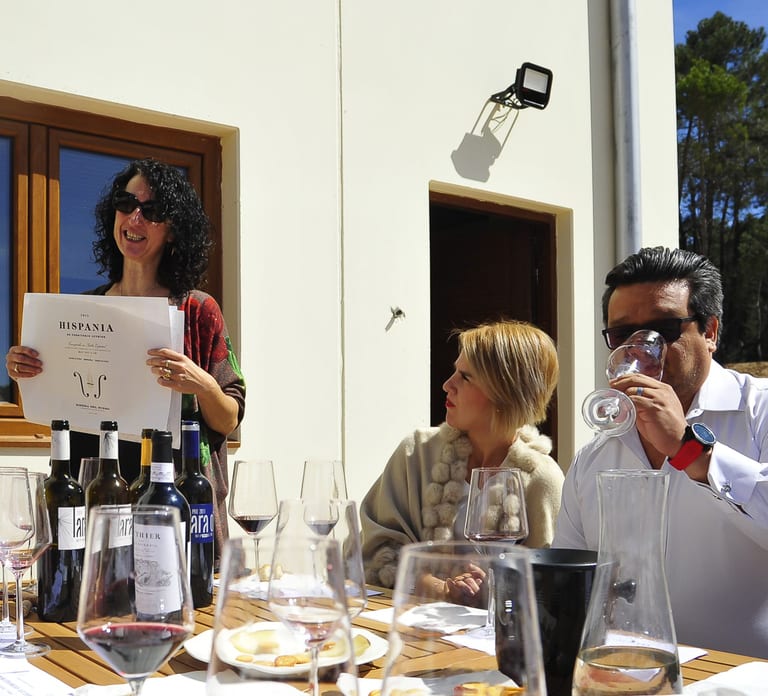 From Madrid: Ribera del Duero Tour of 3 Wineries w/ Tastings