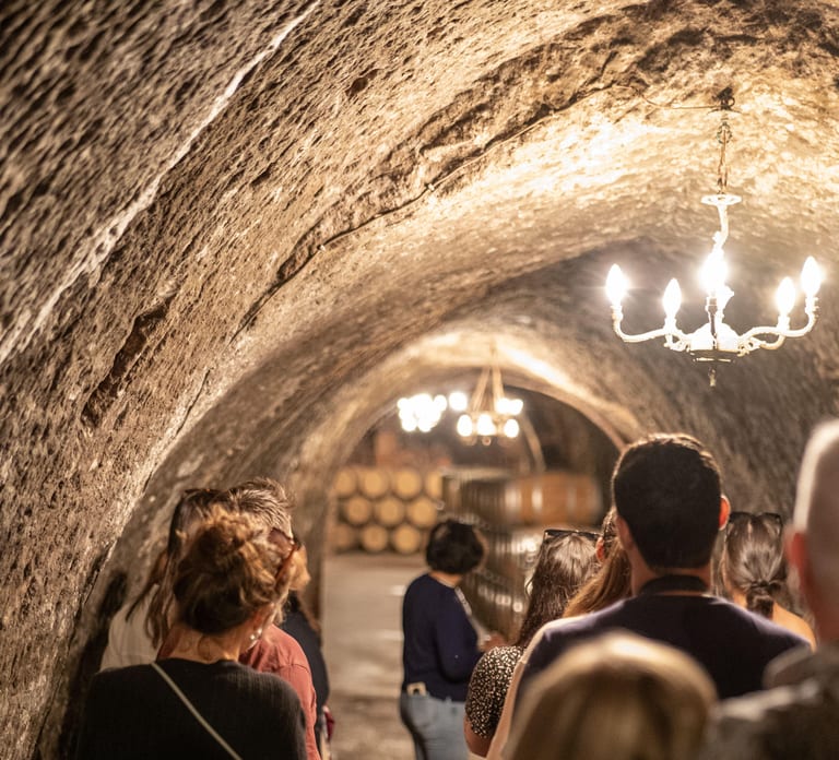 From Madrid: Ribera del Duero Tour of 3 Wineries w/ Tastings experience image 3