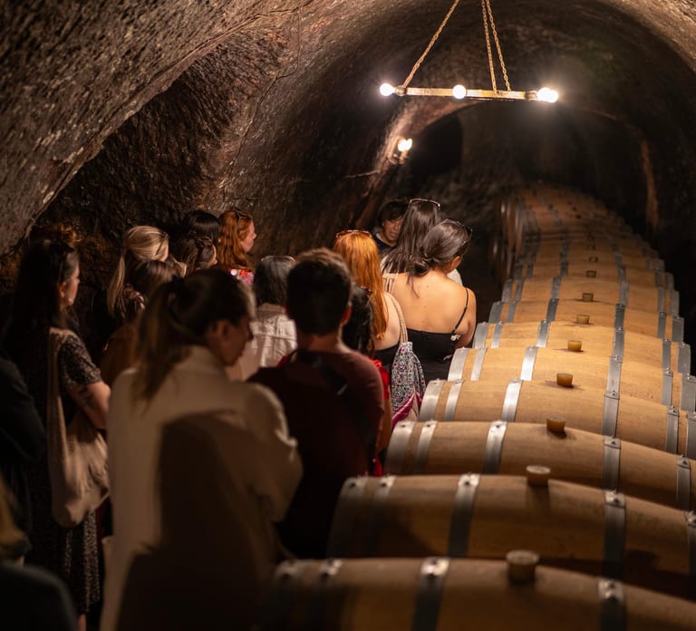 From Madrid: Ribera del Duero Tour of 3 Wineries w/ Tastings