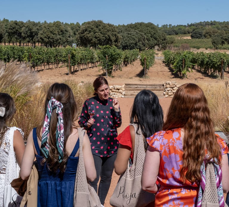 From Madrid: Ribera del Duero Tour of 3 Wineries w/ Tastings