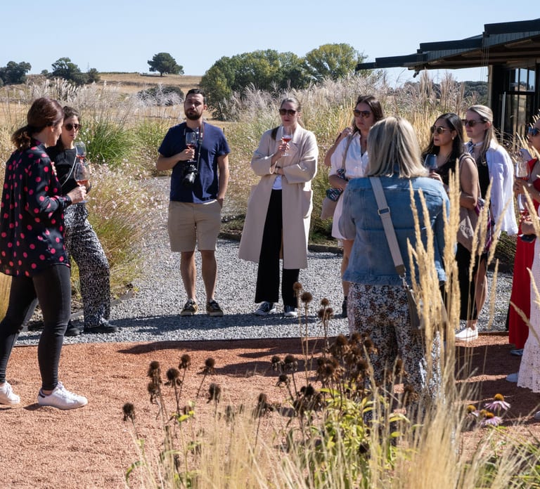 From Madrid: Ribera del Duero Tour of 3 Wineries w/ Tastings