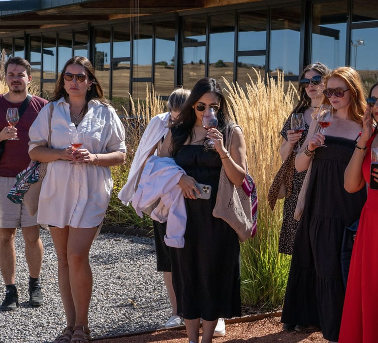 From Madrid: Ribera del Duero Tour of 3 Wineries w/ Tastings