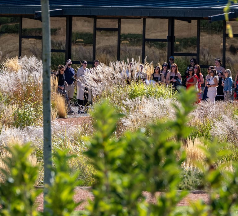 From Madrid: Ribera del Duero Tour of 3 Wineries w/ Tastings