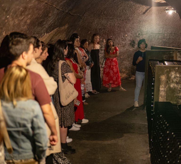 From Madrid: Ribera del Duero Tour of 3 Wineries w/ Tastings