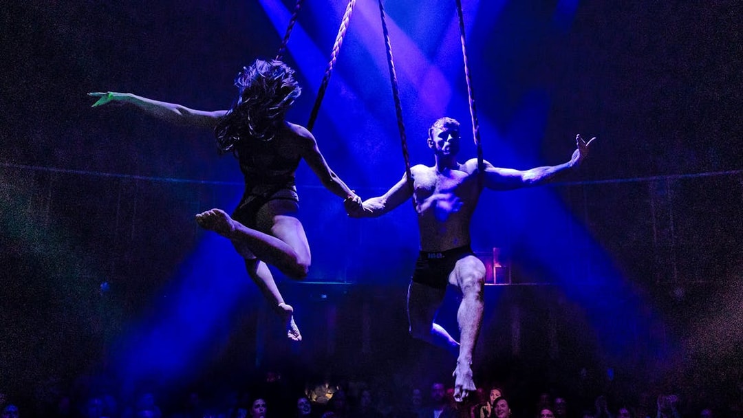 Performers on aerial ropes during Magic Mike Live show.